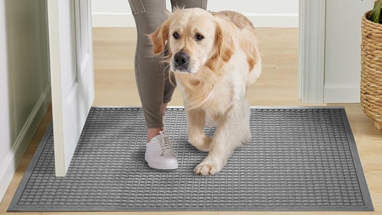 How To Clean And Maintain Household Items Without Stress Or Extra Steps