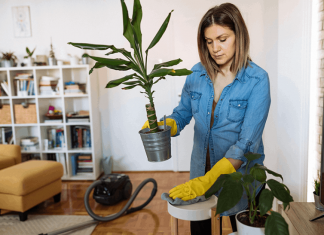 Everyday Maintenance Habits That Save Money: Simple Care Routines For Busy Homes