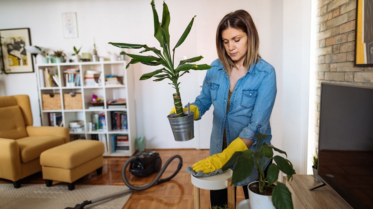 Everyday Maintenance Habits That Save Money: Simple Care Routines For Busy Homes